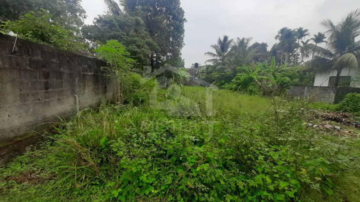 Land for Sale in Ja-Ela- image 1