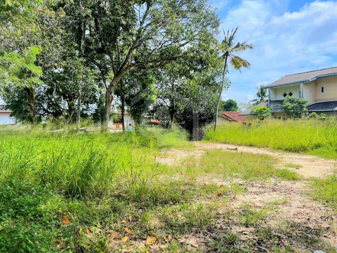 Land For Sale in Boralesgamuwa- image 1