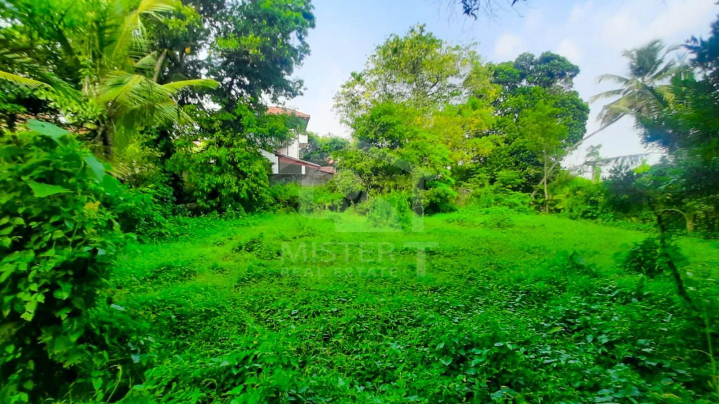 Land for Sale in Kotte- image 1