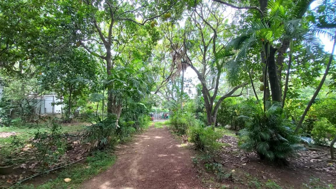 Land for Sale in Nugegoda- image 1