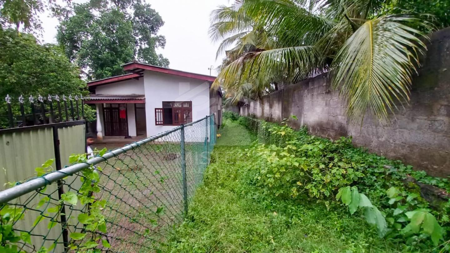 Land with House for Sale- image 1