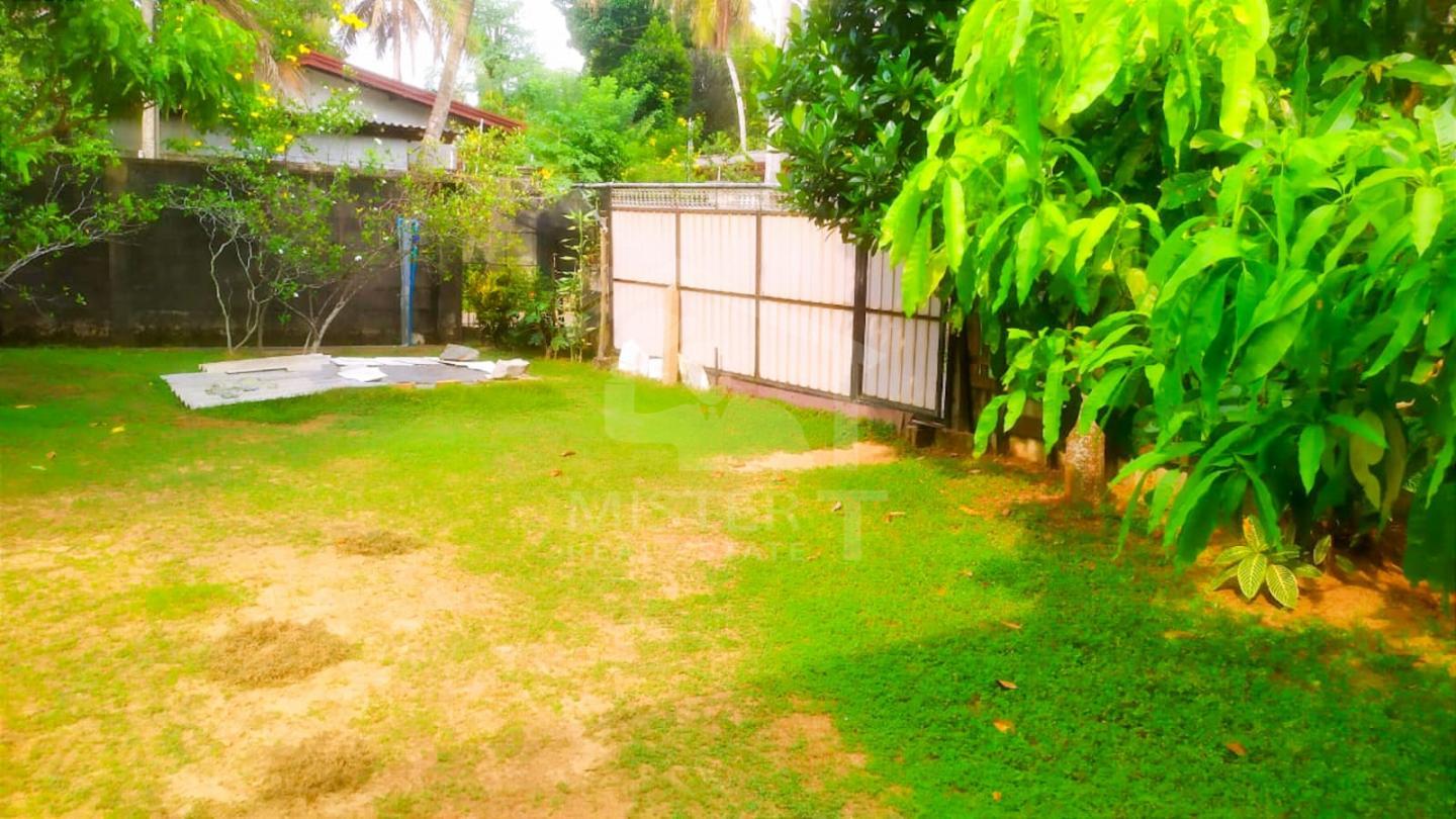 Land with Old House for Sale in Piliyandala- image 1