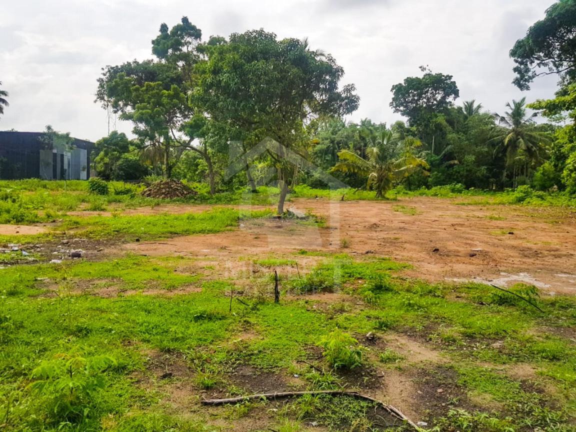 Land for Sale in Balapitiya- image 1