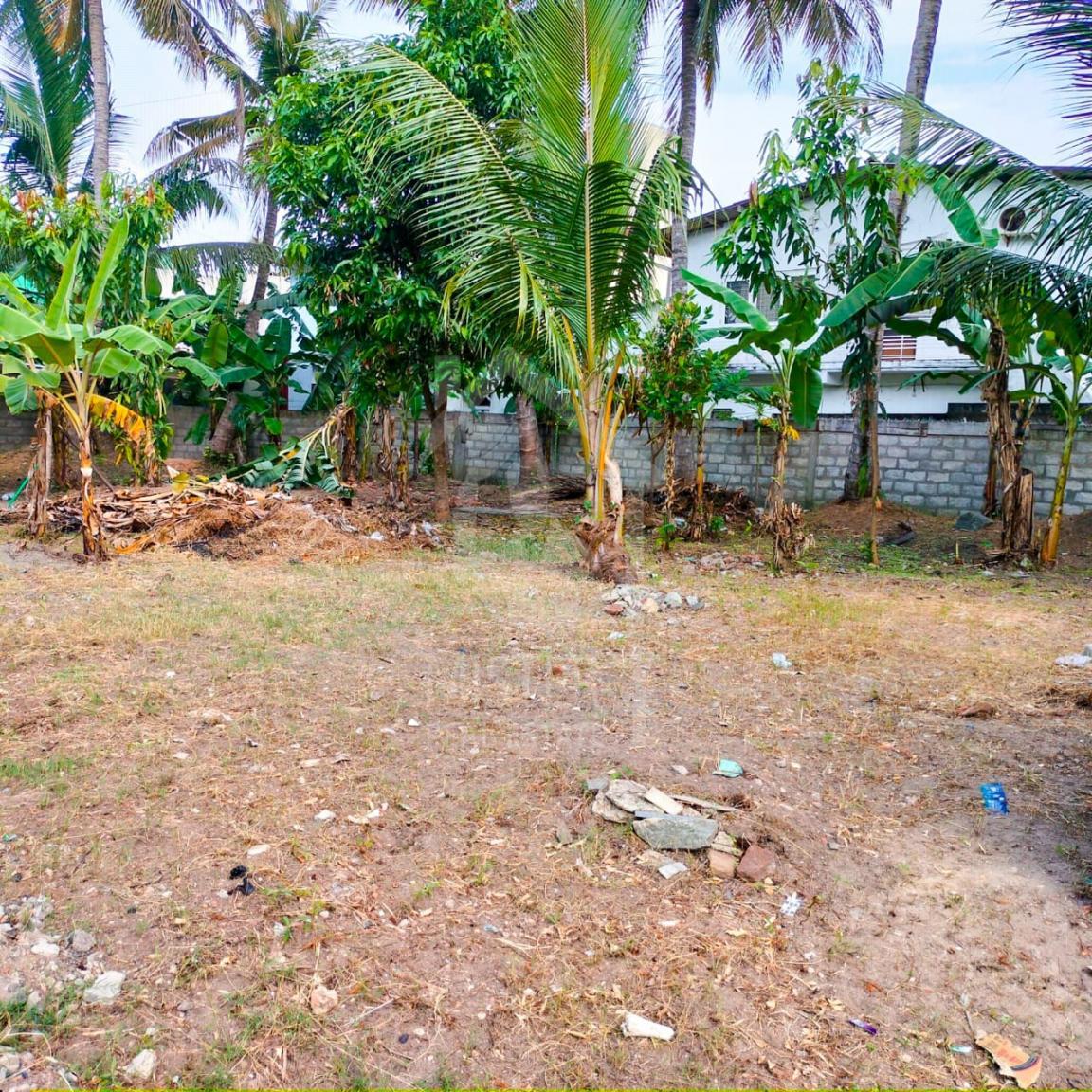 Land for Sale in Kalubowila- image 1