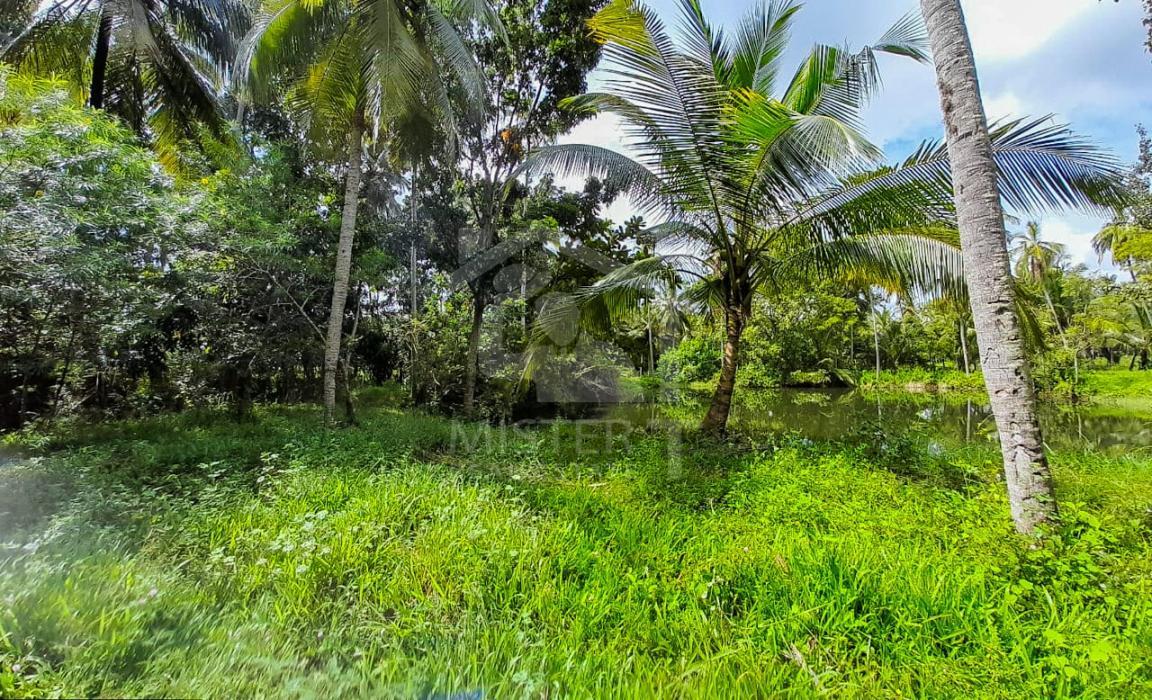 Land for Sale in Kurunegala- image 1