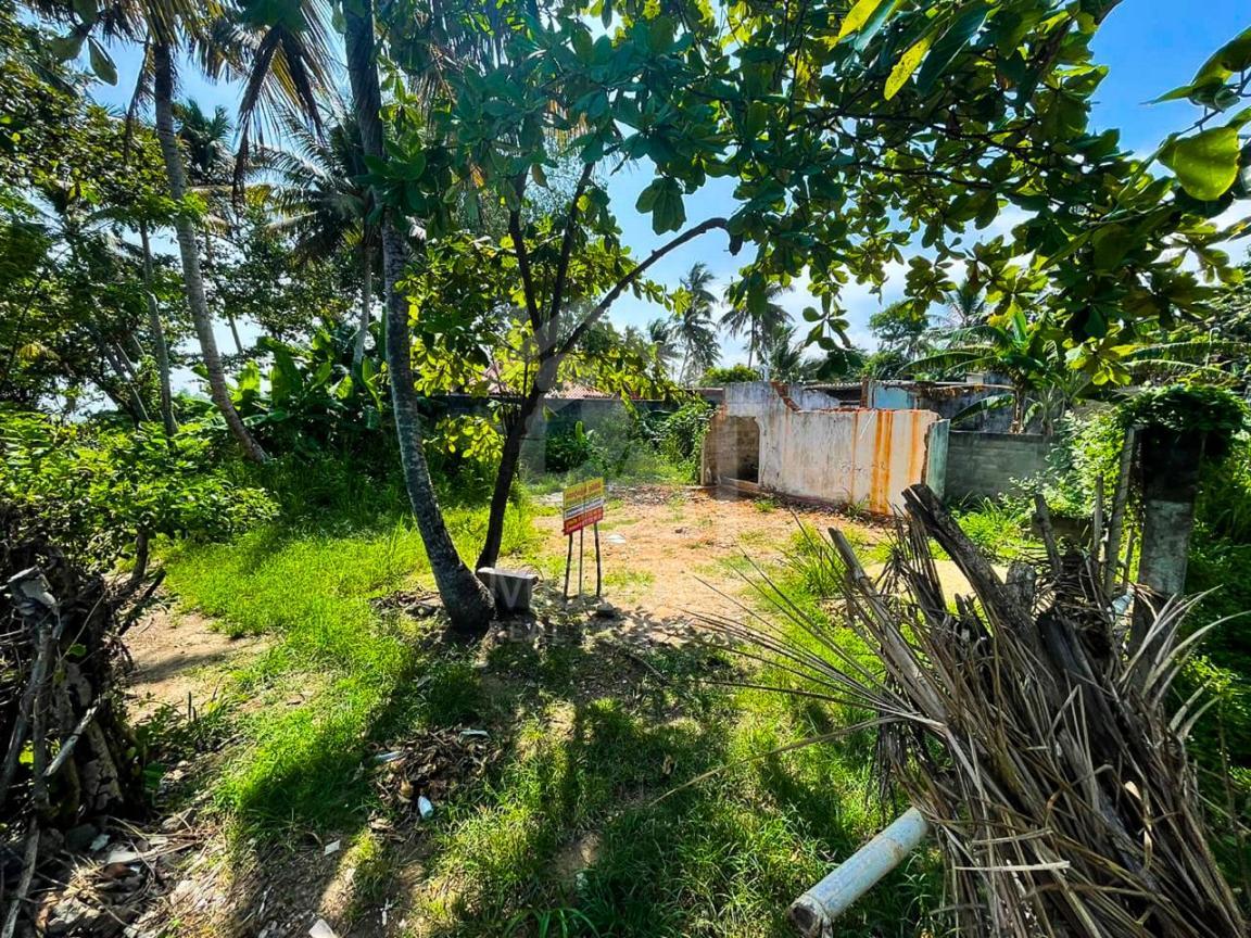 Land for Sale in Matara- image 1