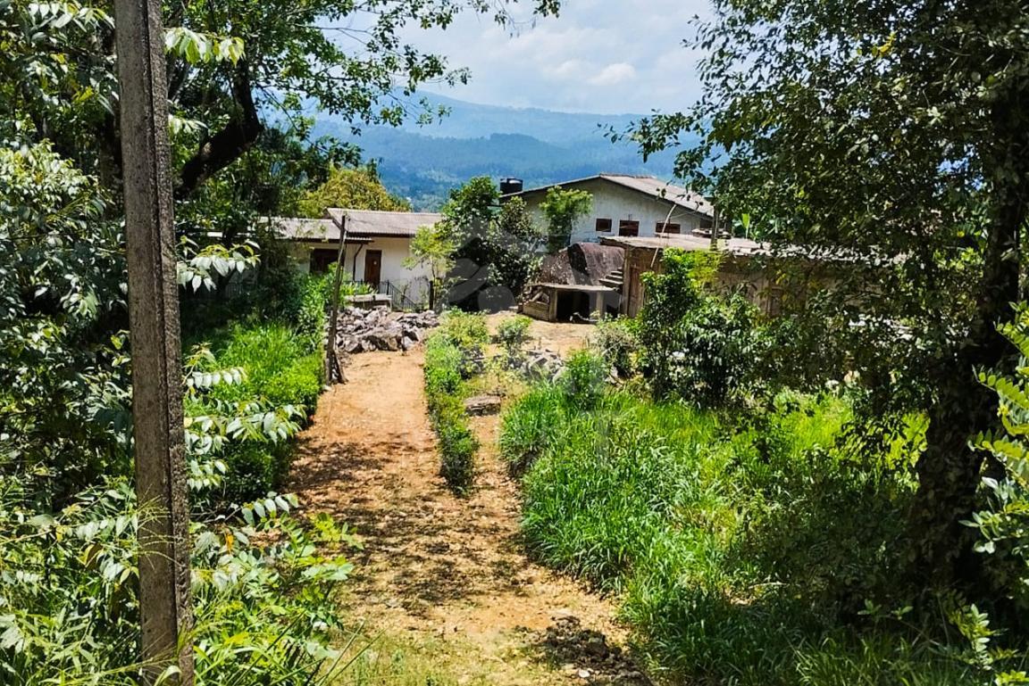 Commercial Land for Sale in Nawalapitiya- image 1