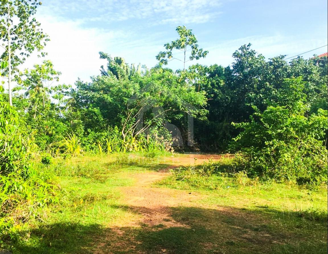 Commercial Land for Sale in Hikkaduwa- image 1