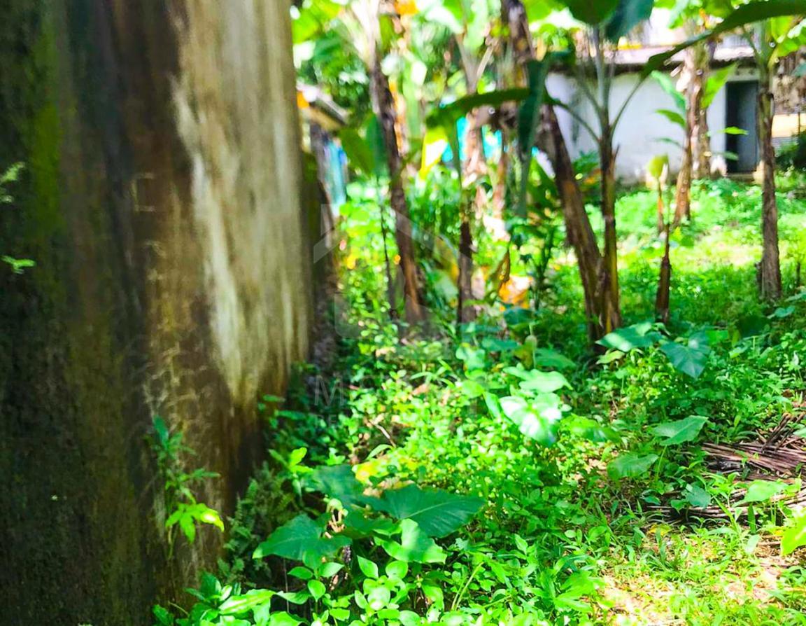 Land for Sale in Horana- image 1