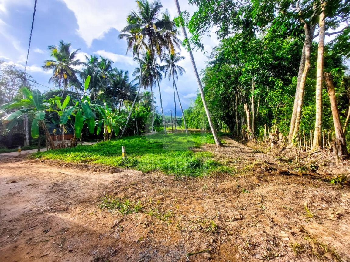 Land for Sale in Galle- image 1