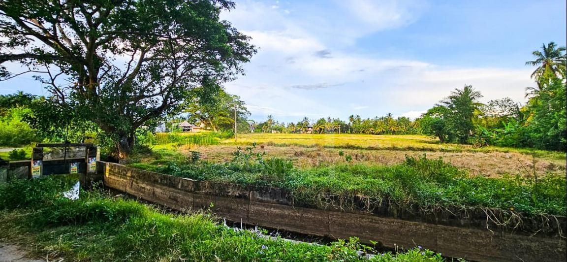 Commercial Land for Sale in Tissamaharama- image 1