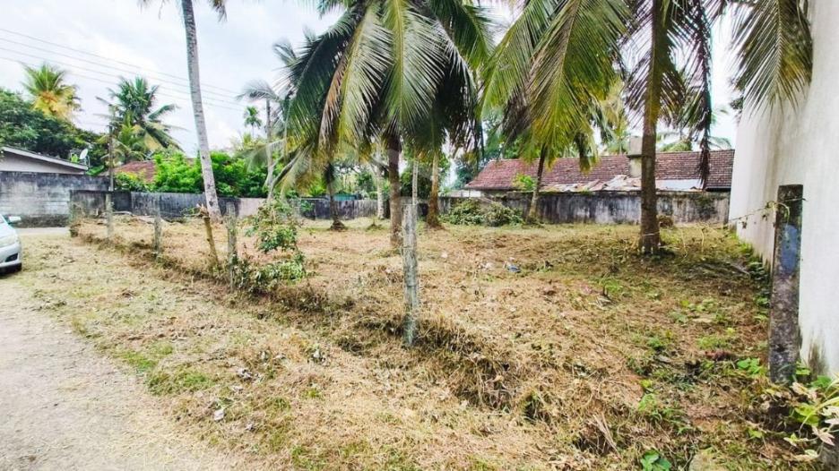 Land for Sale in Thalawathugoda- image 1