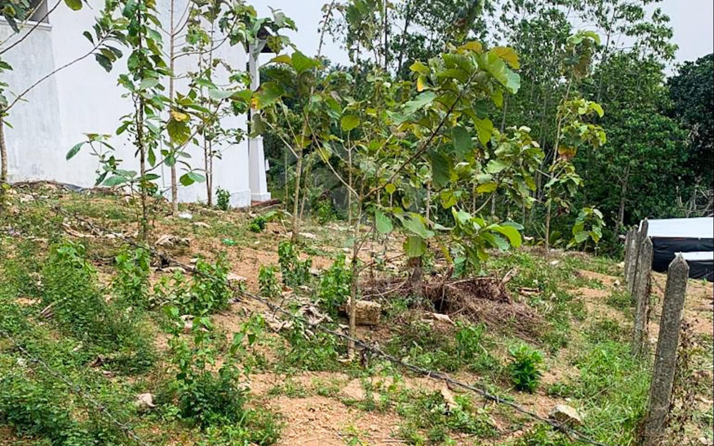 Land for Sale in Thalawathugoda- image 1