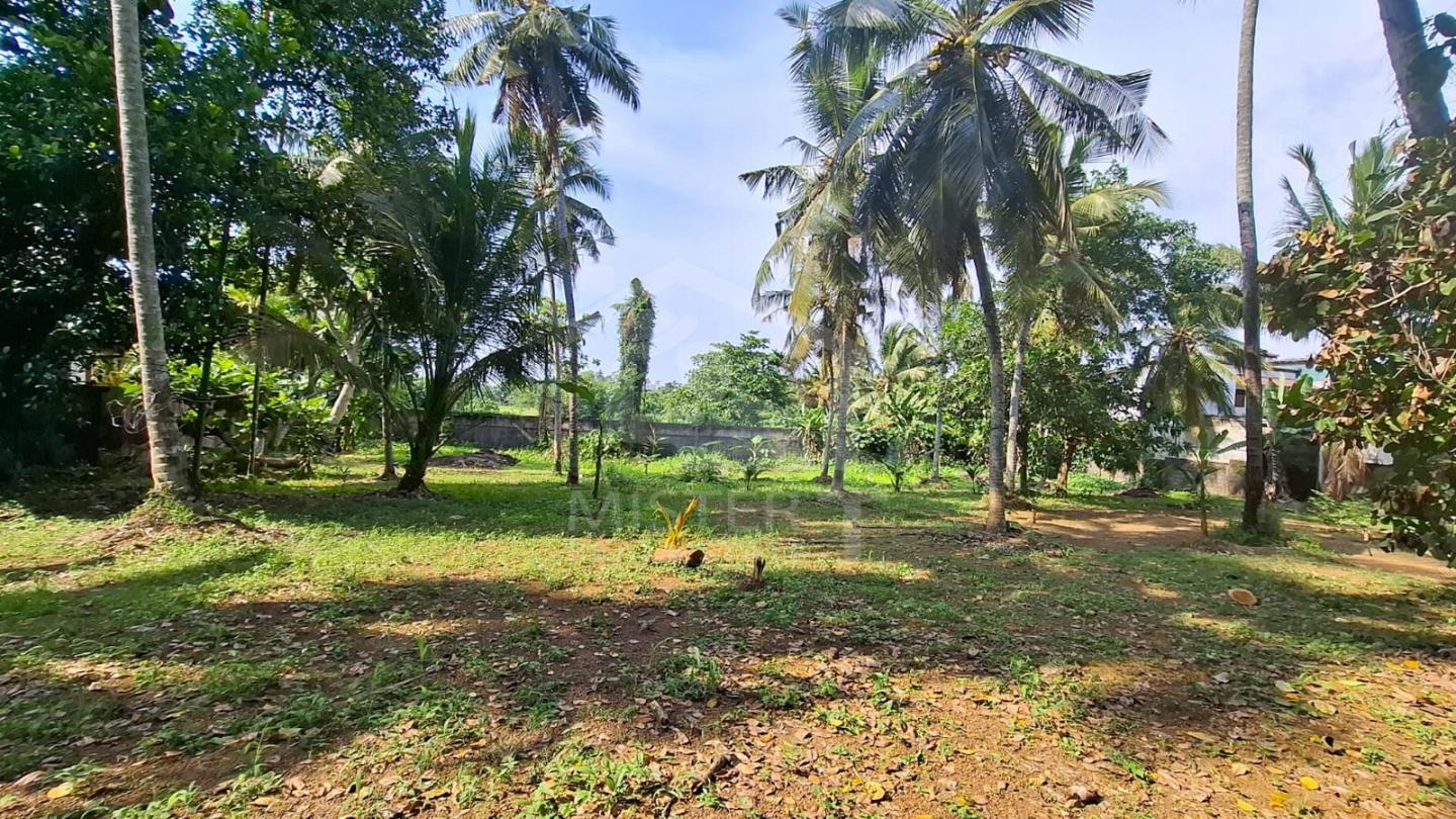Land for Lease in Boralesgamuwa- image 1