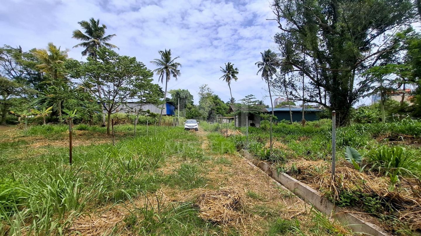 Land for Sale in Nawala- image 1