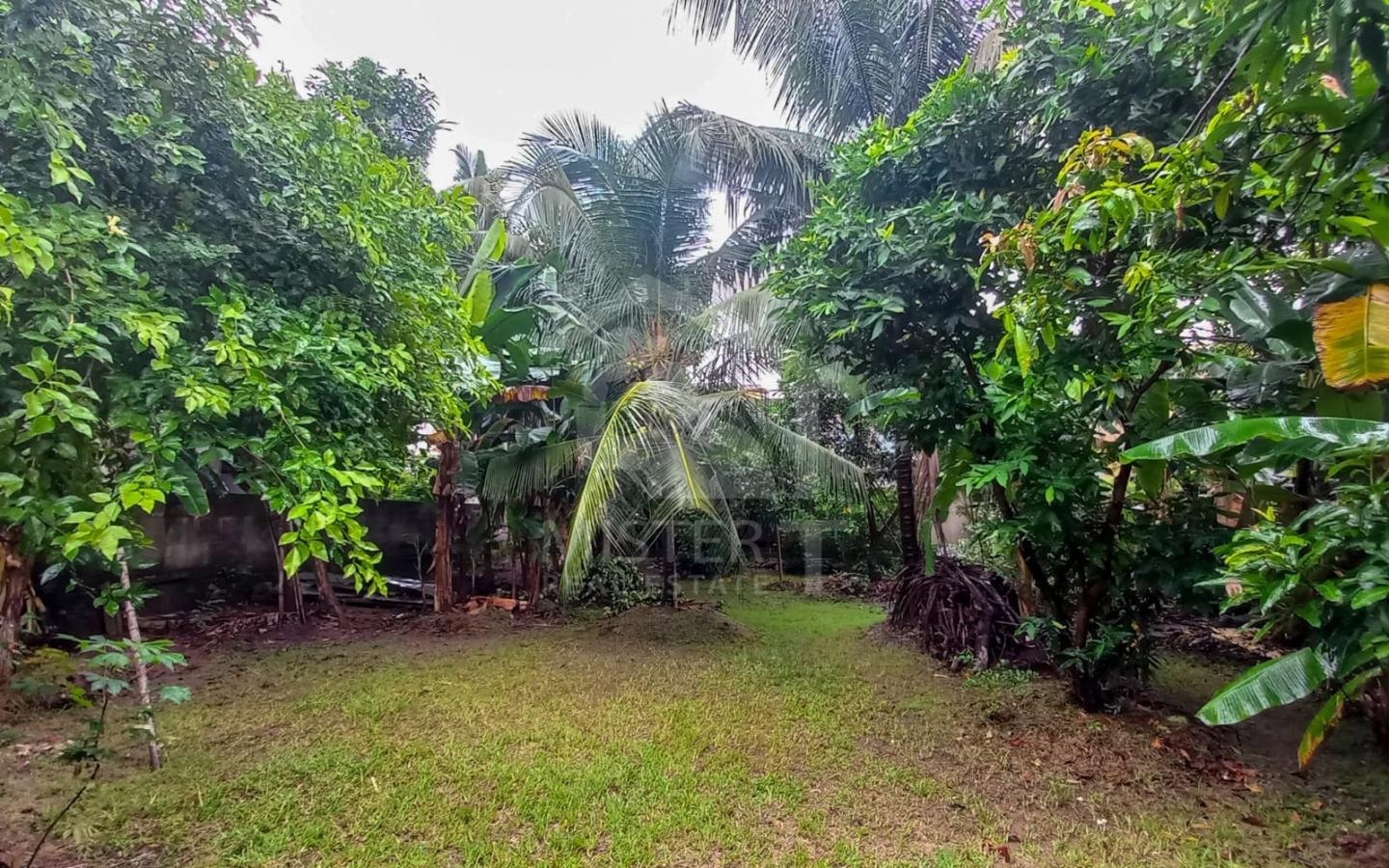 Land for Sale in Nawala- image 1