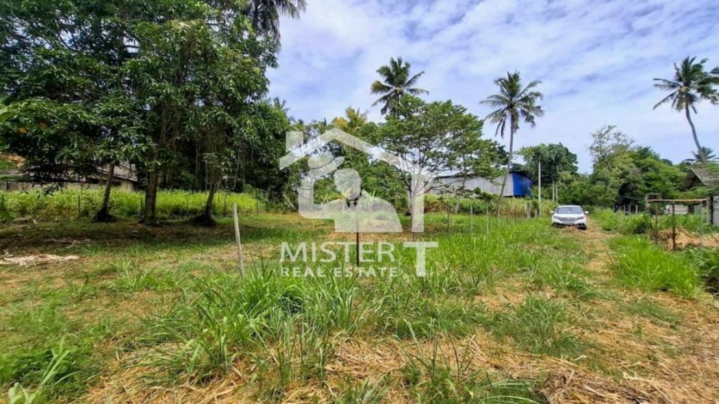 Land for Sale in Nawala...