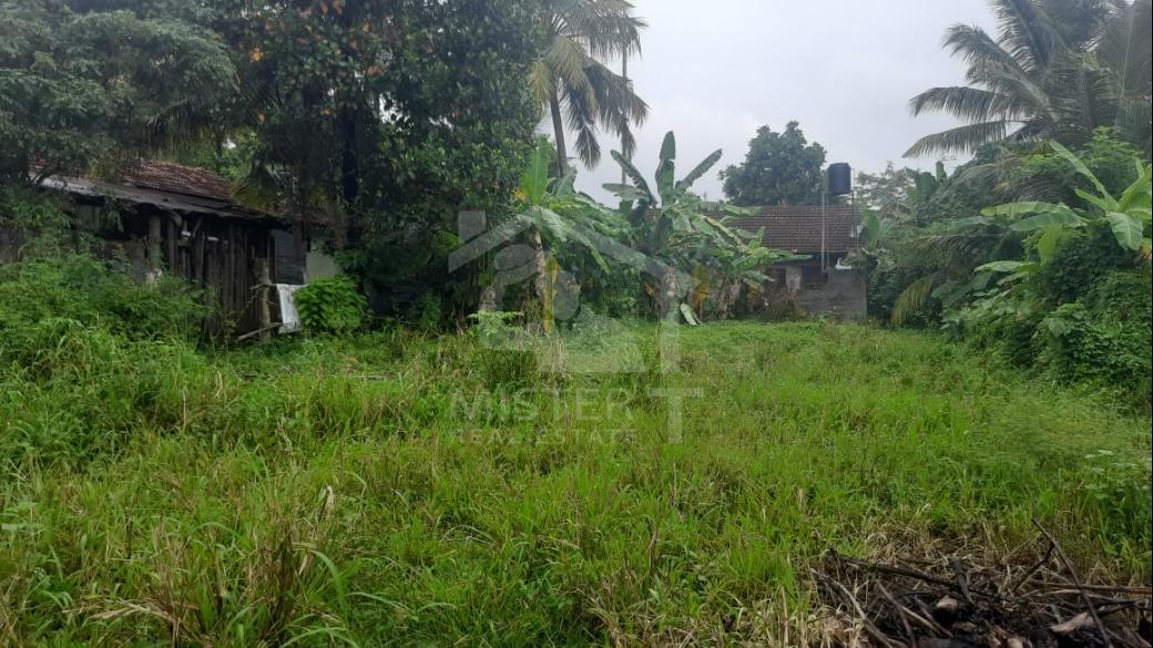 Land for Sale in Ja-Ela- image 2