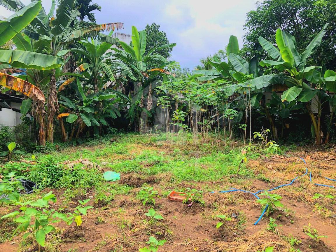 Land for Sale in Rukmalagama- image 2