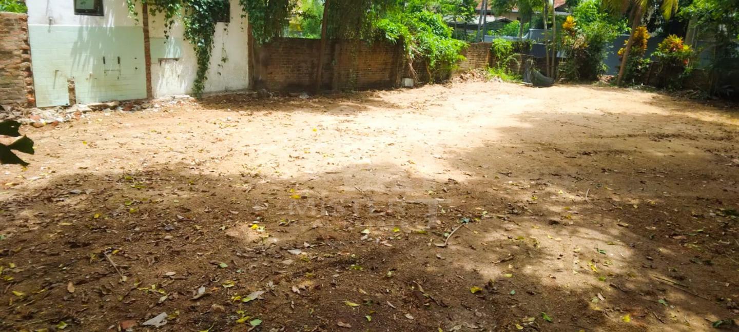 Land For Sale In Pita Kotte- image 2
