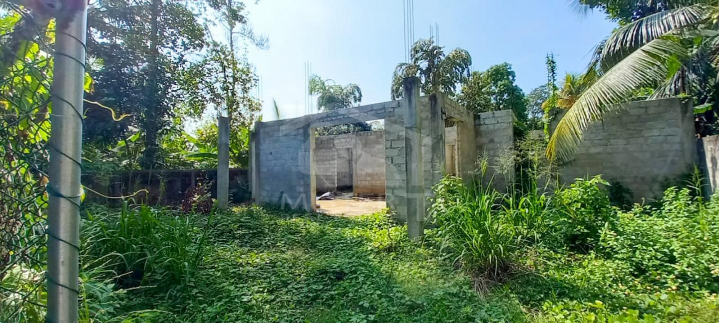 Land with House for Sale- image 2