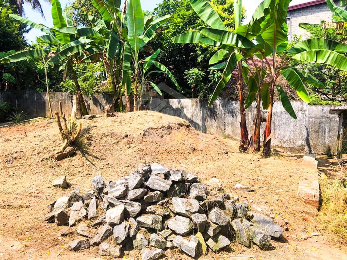 Land for Sale in Kotte- image 2