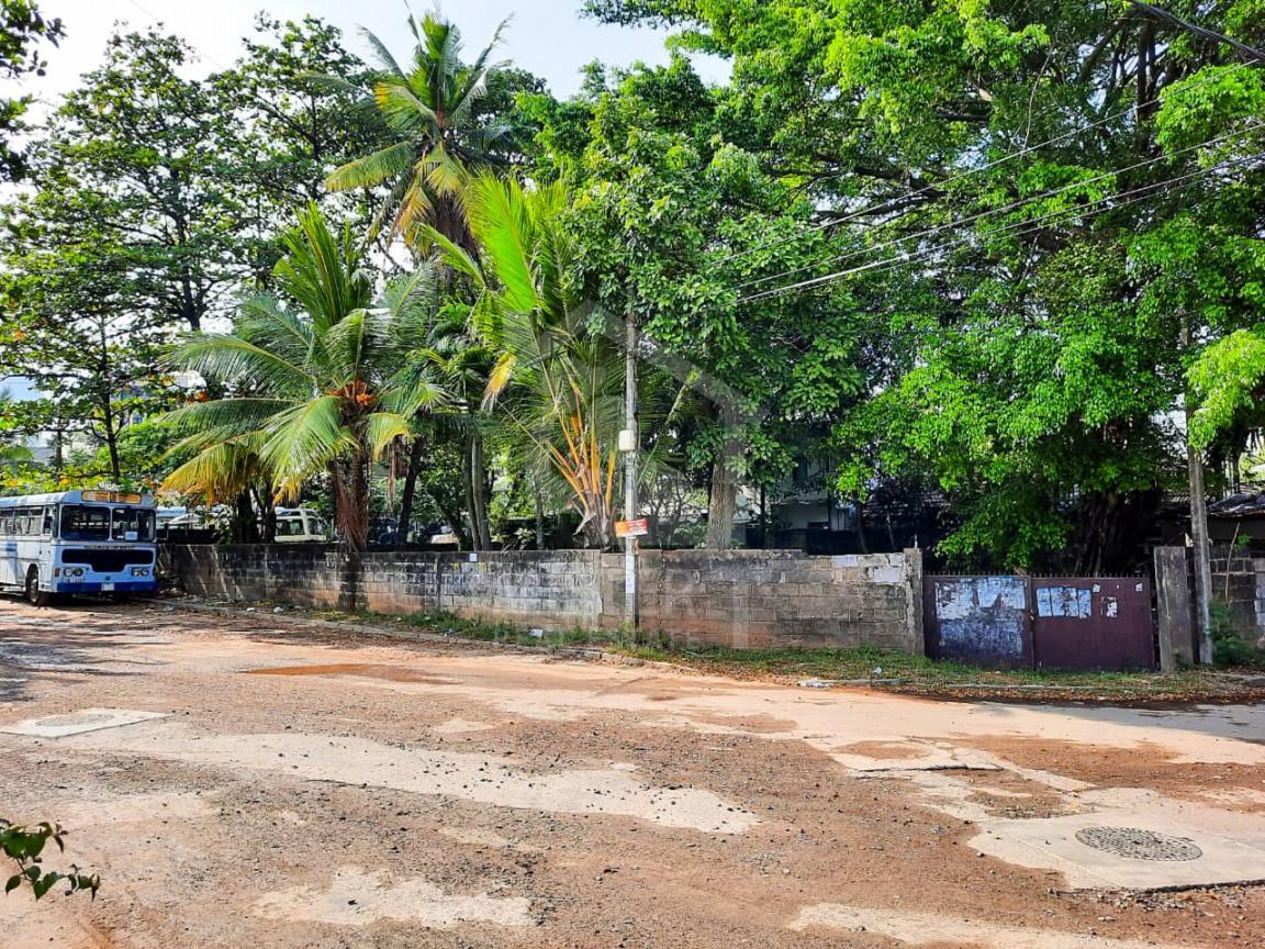 Land for Sale in Colombo 05- image 2