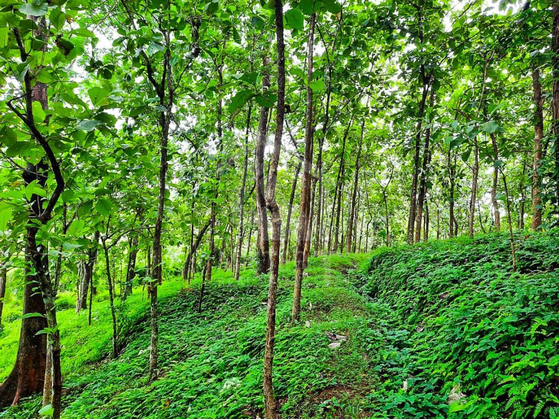 Land for Sale in Kaduwela- image 2