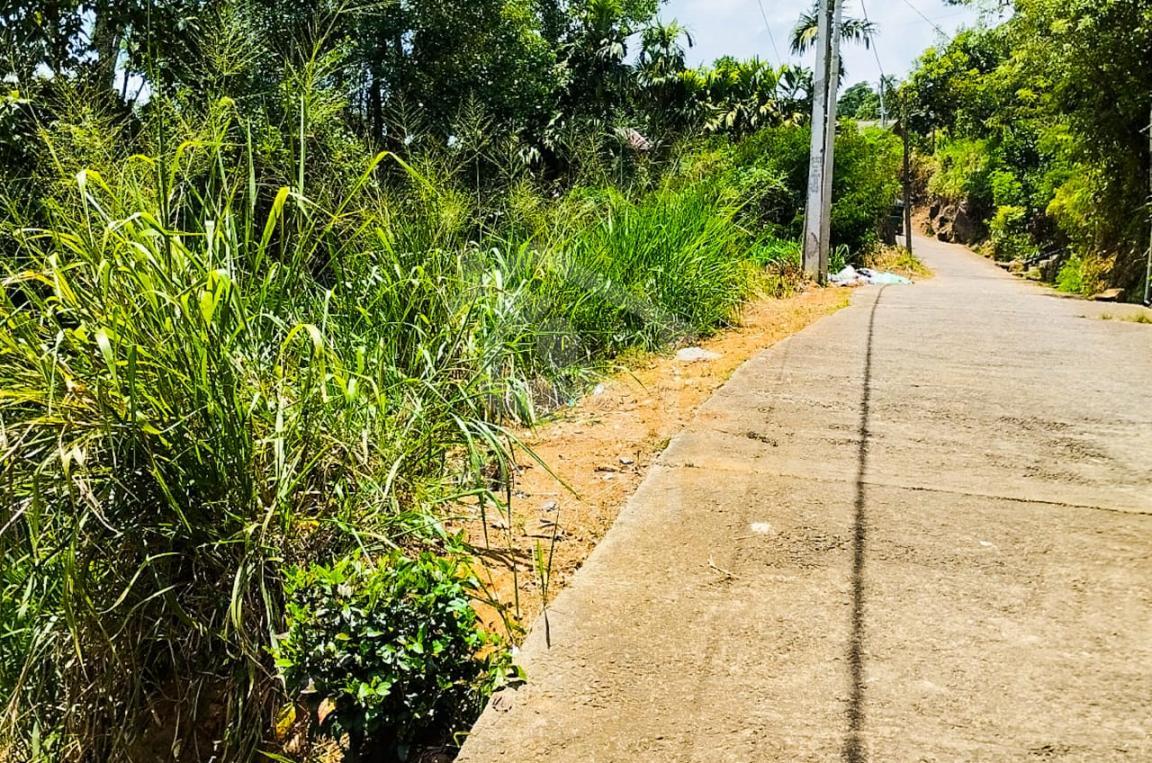 Commercial Land for Sale in Nawalapitiya- image 2