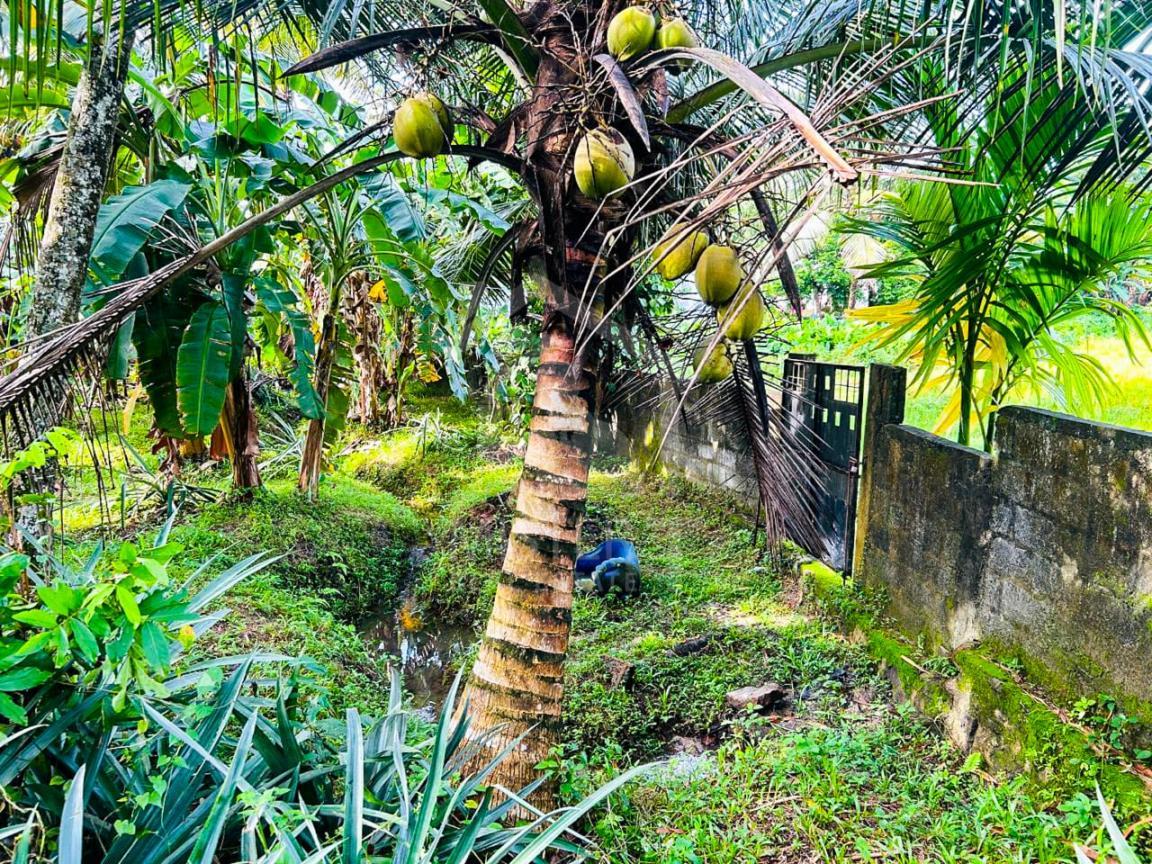 Commercial Land for Sale in Athurugiriya- image 2