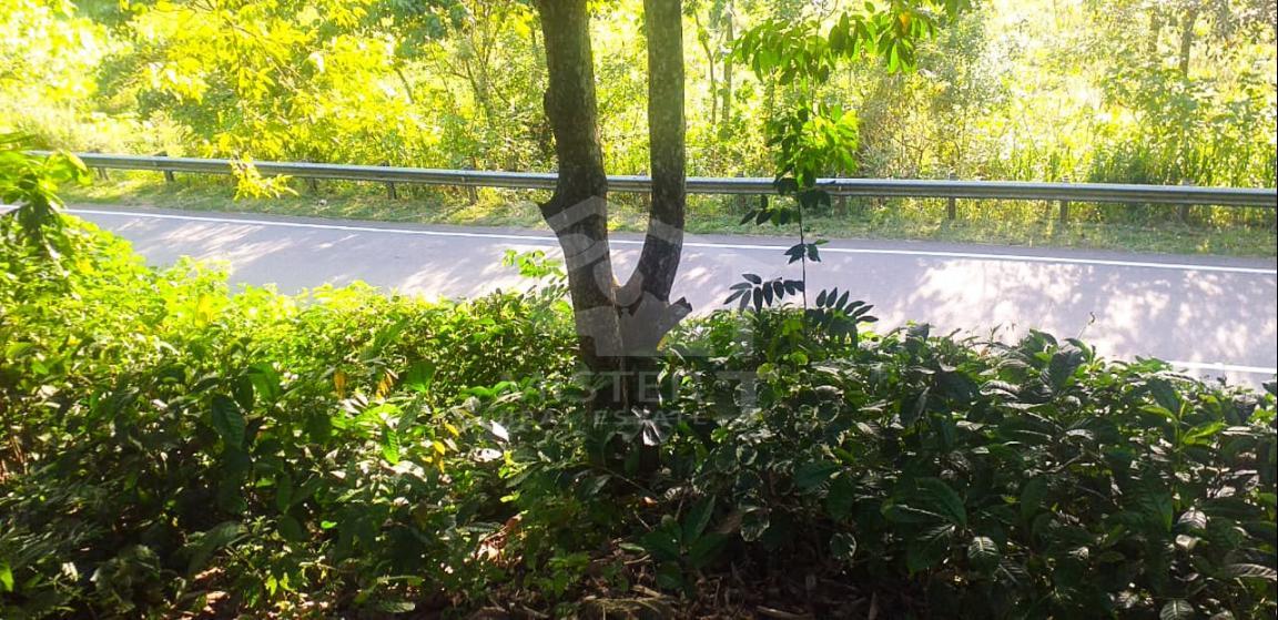 Cultivated Land for Sale on Nittambuwa- image 2