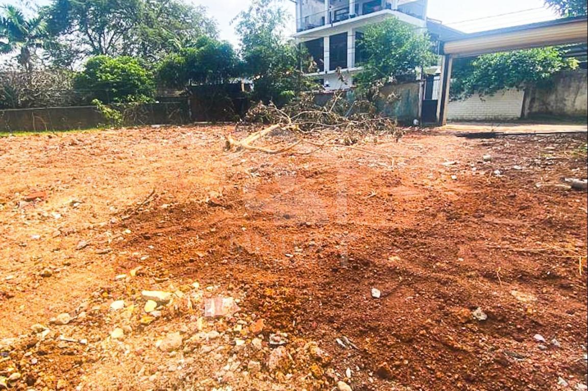Land for Sale in Ethul Kotte- image 2