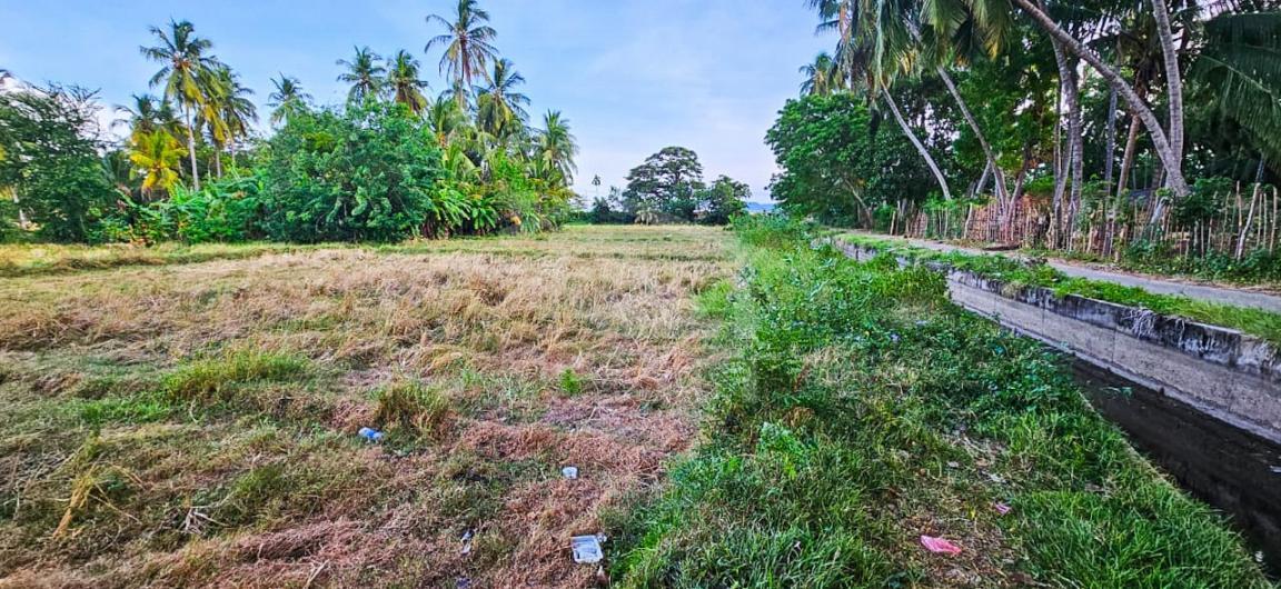 Commercial Land for Sale in Tissamaharama- image 2
