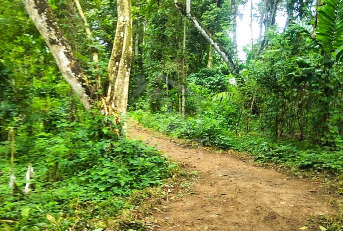 Commercial Land for Sale in Padukka- image 2