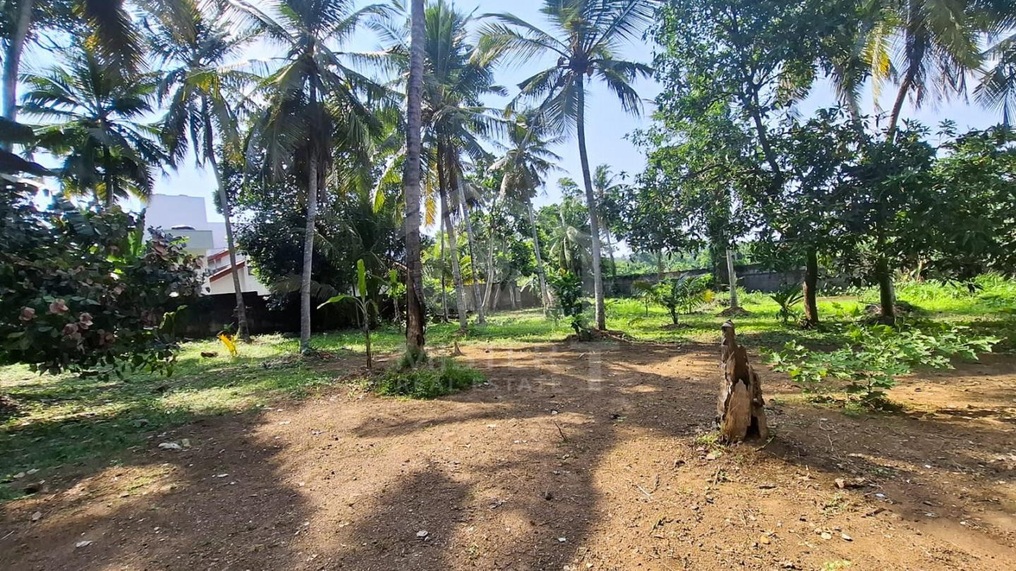 Land for Lease in Boralesgamuwa- image 2