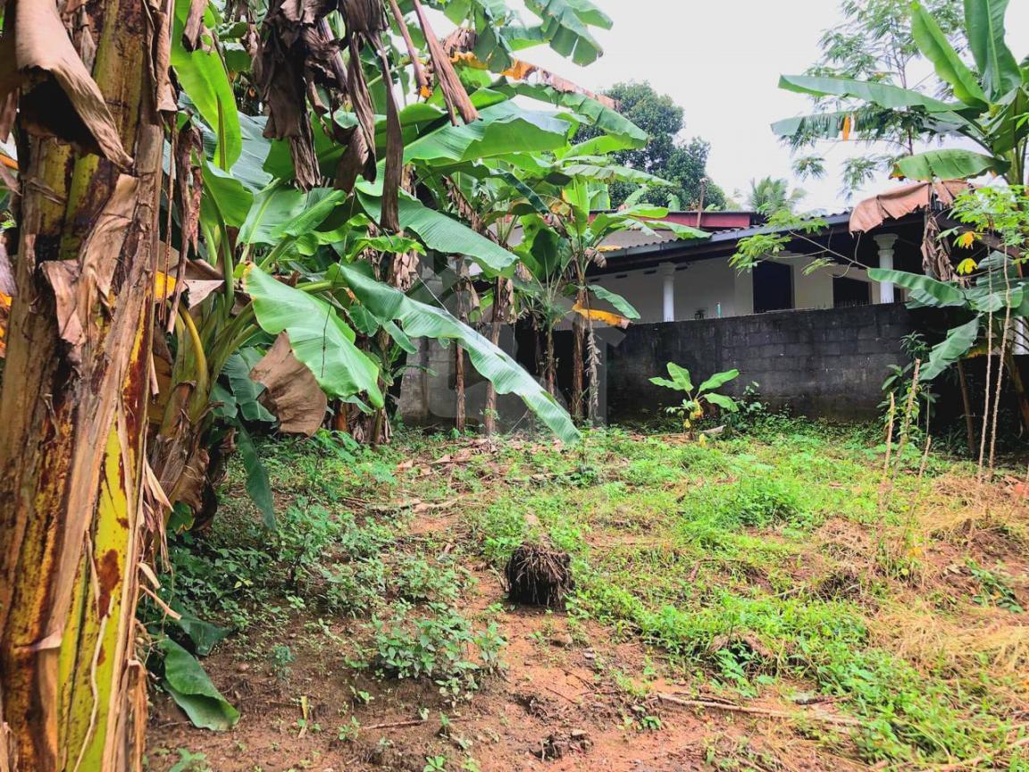 Land for Sale in Rukmalagama- image 3