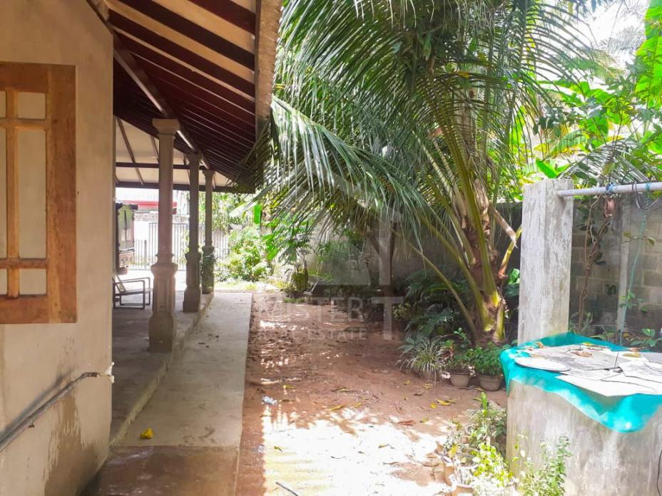 Land For Sale In Gampaha- image 3