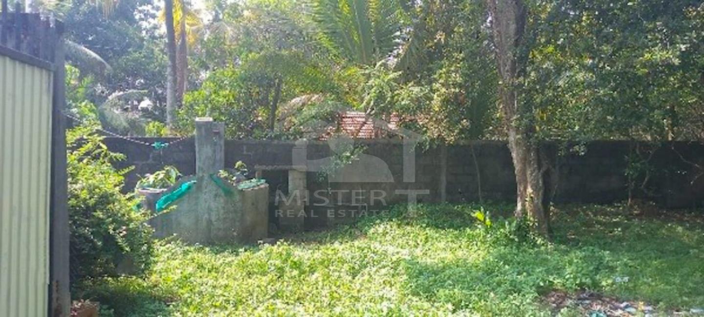 Land with House for Sale- image 3
