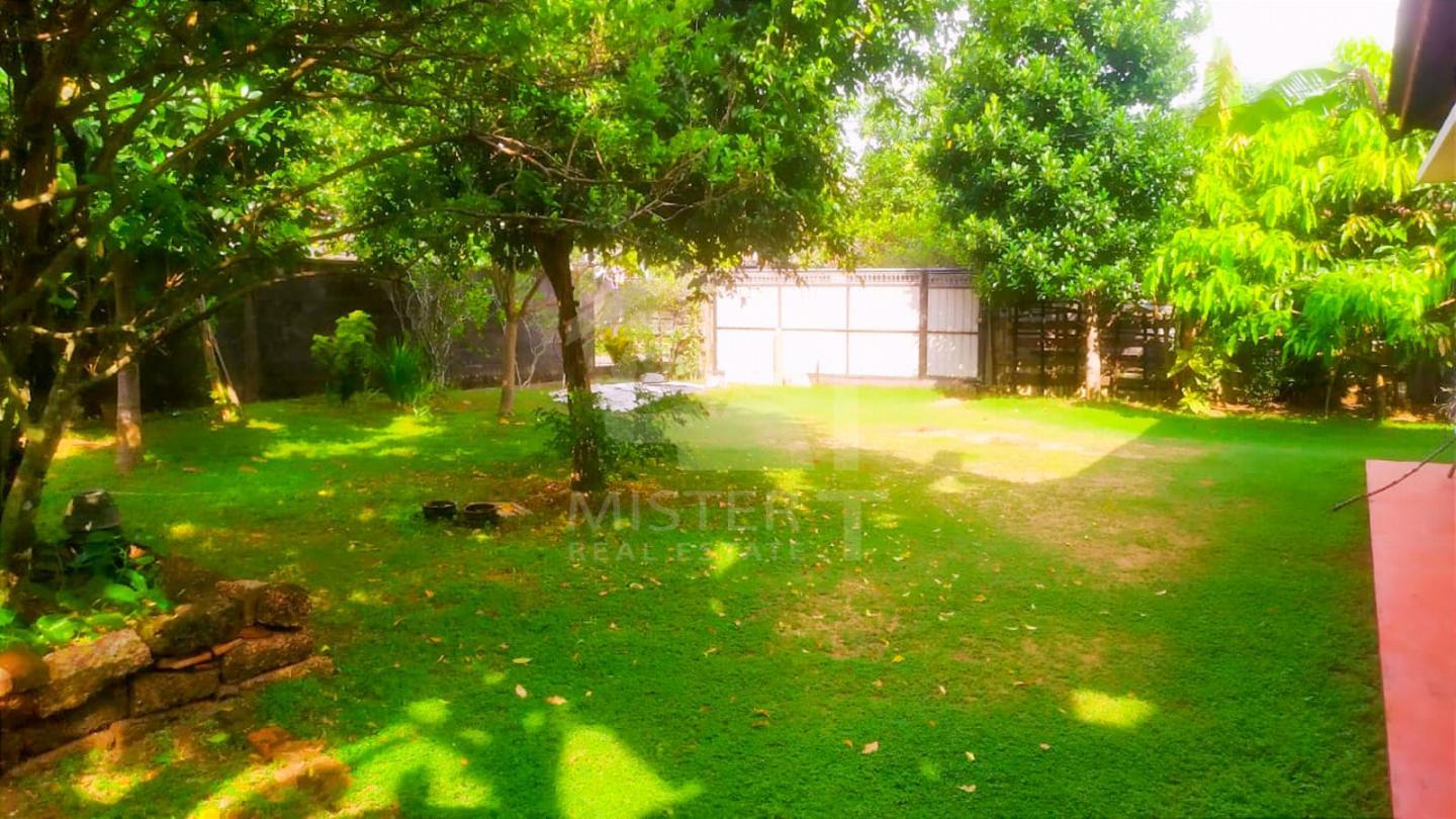 Land with Old House for Sale in Piliyandala- image 3