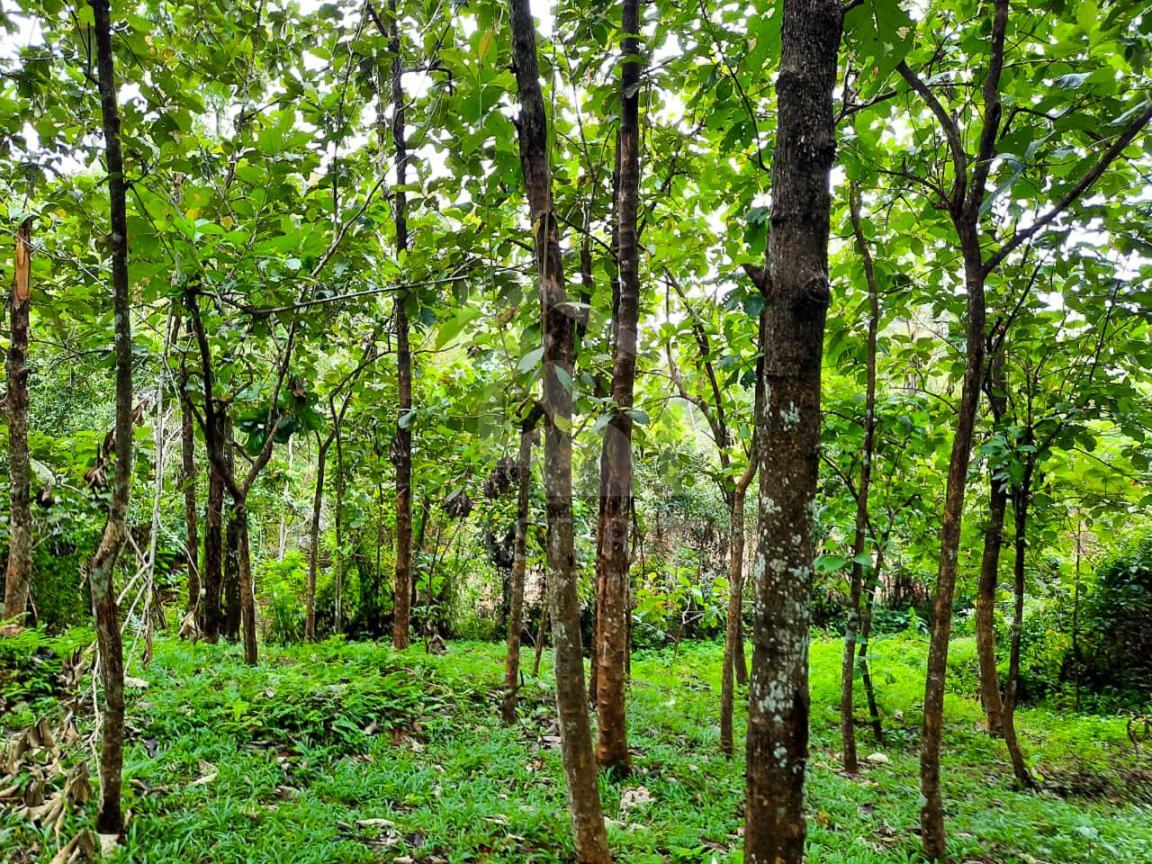 Land for Sale in Kaduwela- image 3