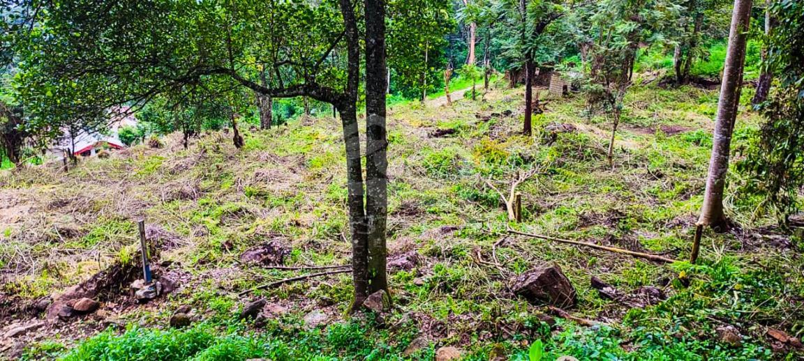 Land for Sale in Haptula- image 3