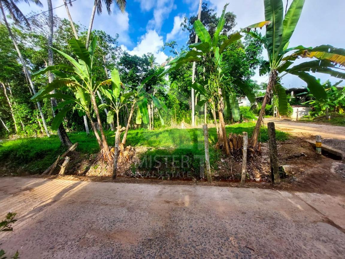 Land for Sale in Galle- image 3