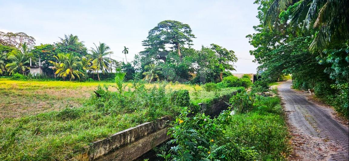 Commercial Land for Sale in Tissamaharama- image 3