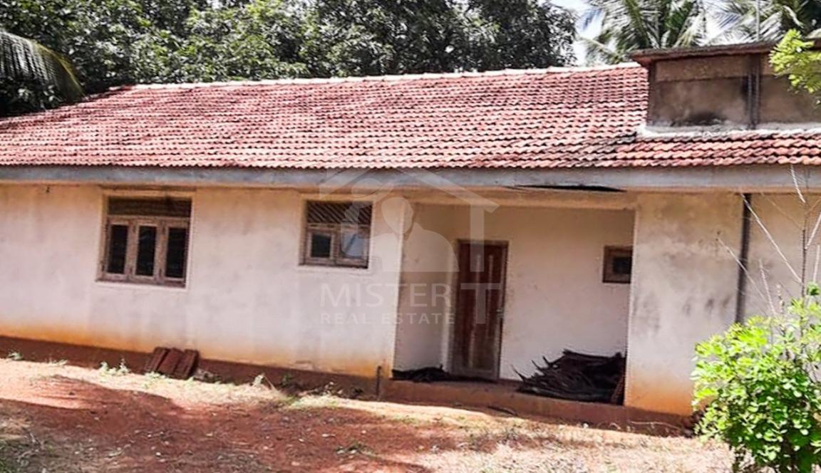 Commercial Land for Sale in Giriulla- image 3