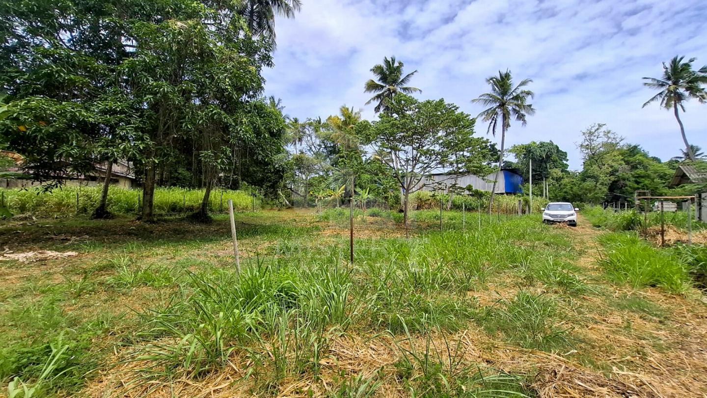 Land for Sale in Nawala- image 3