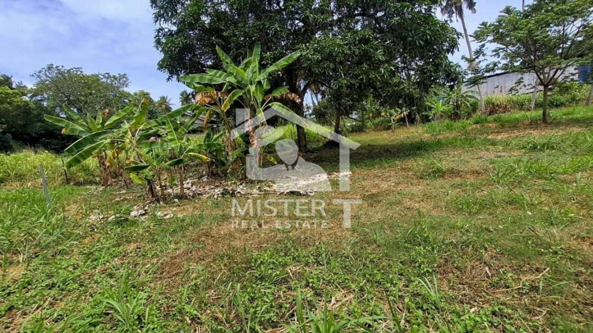 Land For Sale in Nawala- image 3