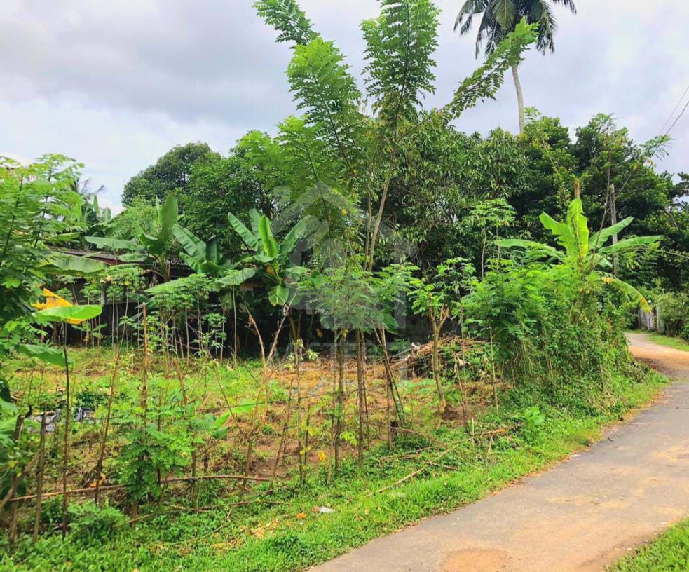 Land for Sale in Rukmalagama- image 4