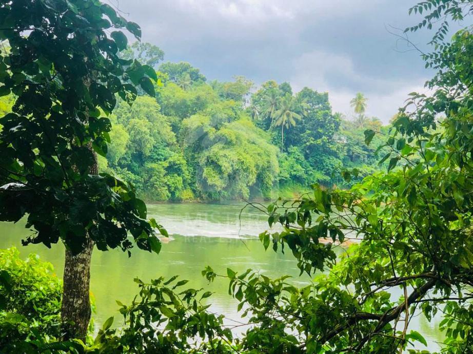 Land For Sale In Hanwella- image 4