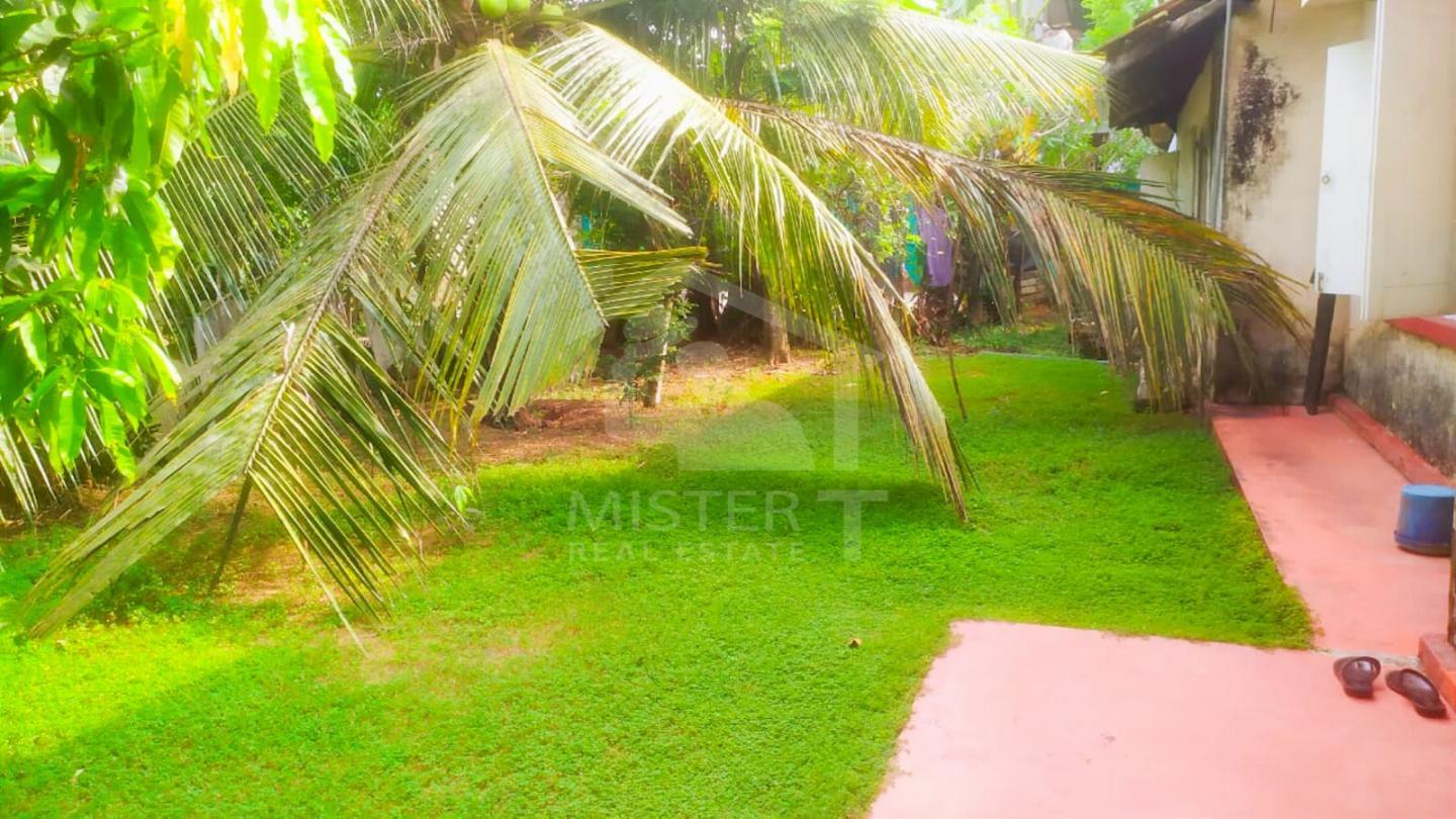 Land with Old House for Sale in Piliyandala- image 4