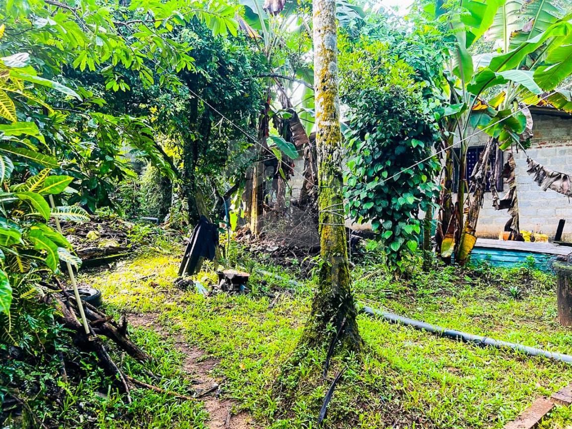 Commercial Land for Sale in Athurugiriya- image 4